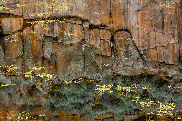 Reflections I