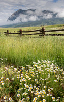Crested Butte